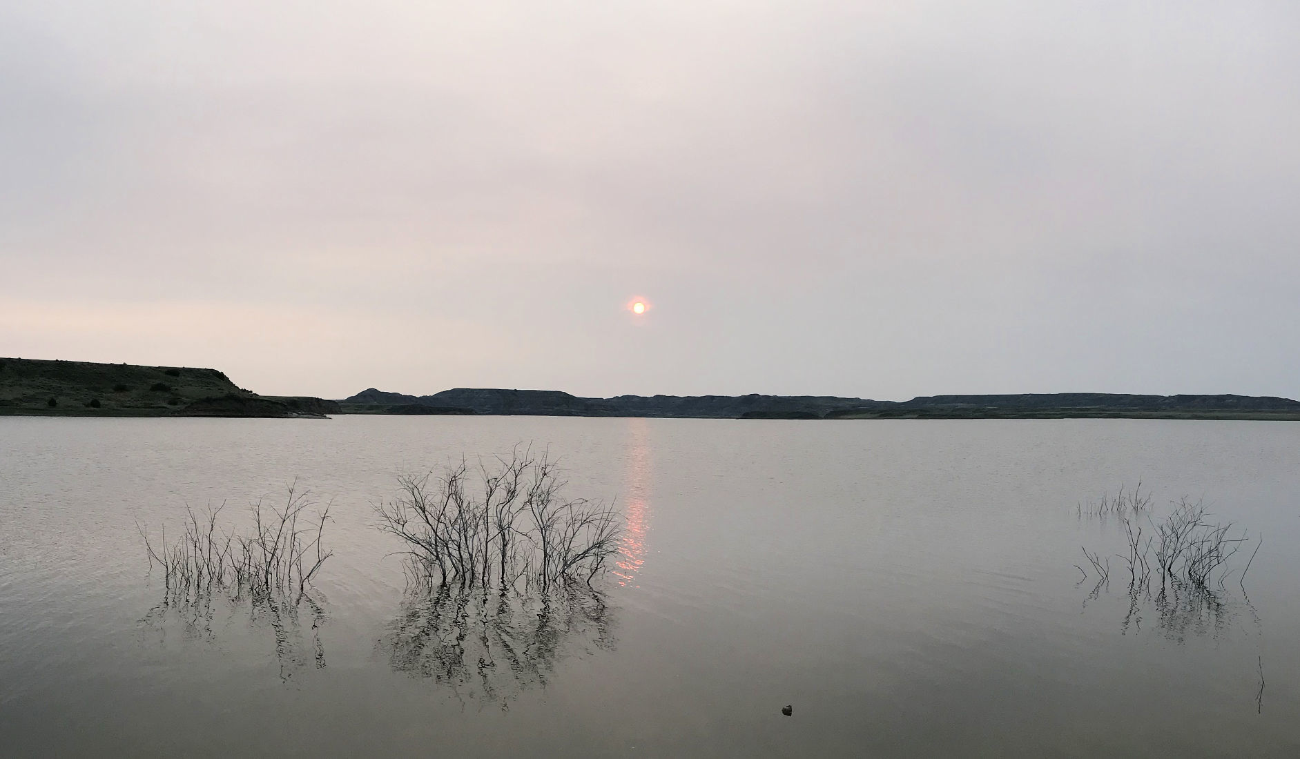 Flooded shoreline